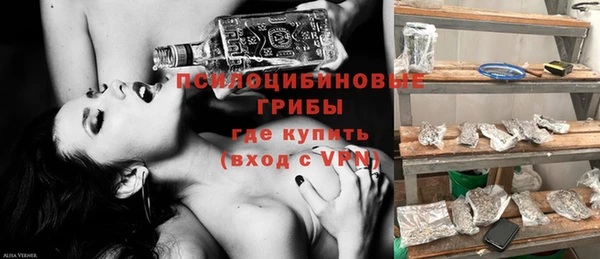 шишки Щучье