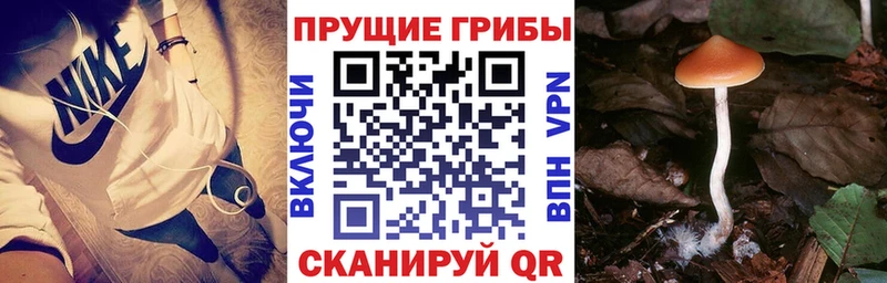 Купить  Острогожск  Псилоцибиновые грибы ЛСД 